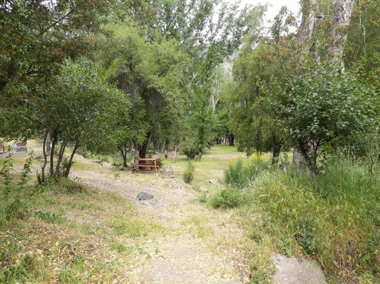 Fotografía 6 de Camping Parque del Rio en Cajon del Maipo, Metropolitana