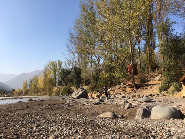Fotografía 10 de Camping Parque del Rio en Cajon del Maipo, Metropolitana
