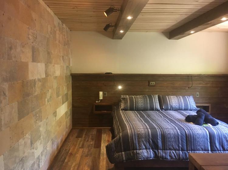 Fotografía 16 de La Petite France en Cajon del Maipo, Metropolitana