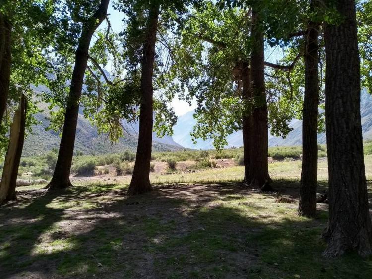 Fotografía 3 de Camping Valle del Bosque en Cajon del Maipo, Metropolitana