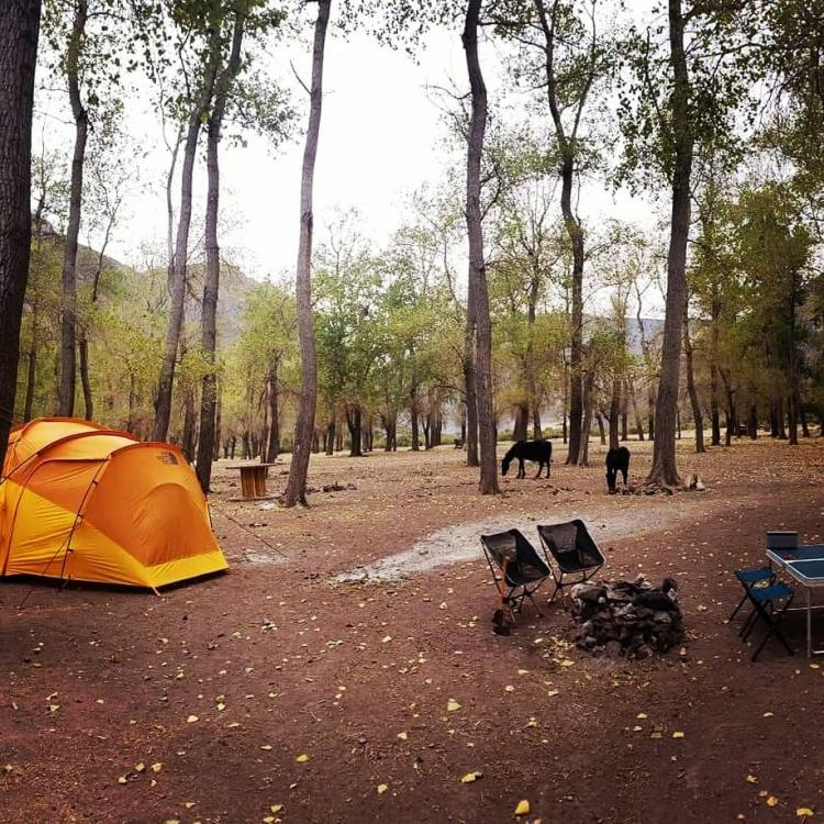 Fotografía 6 de Camping Valle del Bosque en Cajon del Maipo, Metropolitana