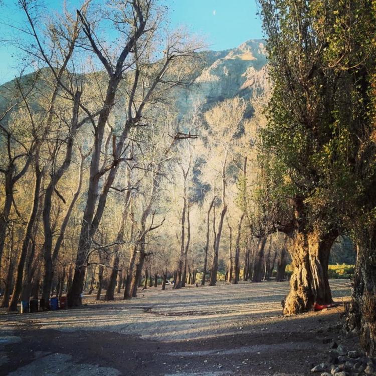 Fotografía 9 de Camping Valle del Bosque en Cajon del Maipo, Metropolitana