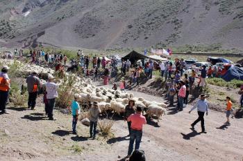 Fiesta de la Esquila en Cajon del Maipo, Metropolitana